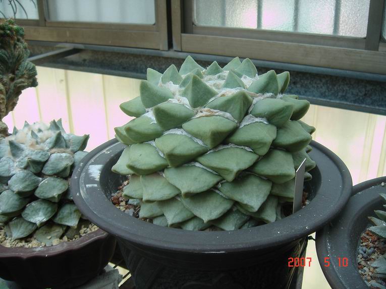 按此在新視窗瀏覽圖片