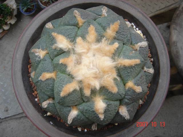 按此在新視窗瀏覽圖片