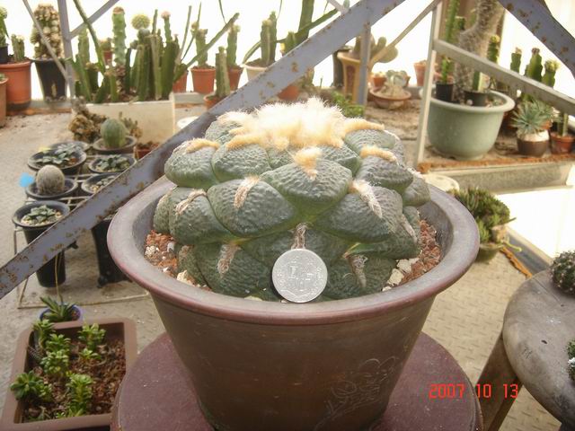 按此在新視窗瀏覽圖片