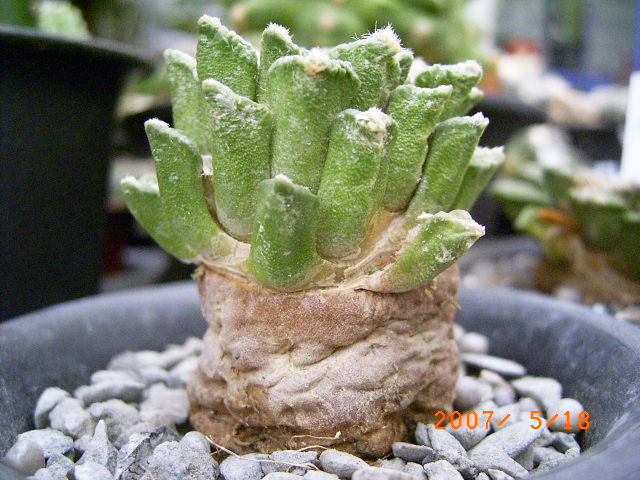 按此在新視窗瀏覽圖片