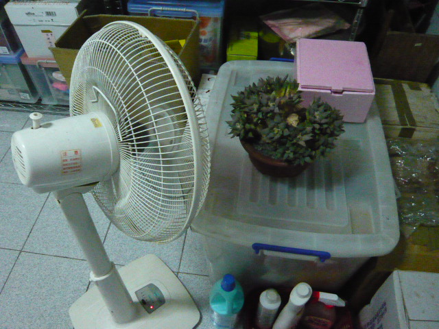 按此在新視窗瀏覽圖片