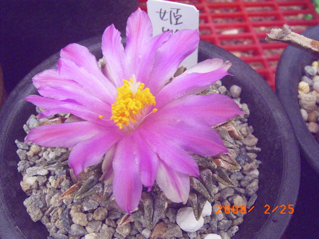 按此在新視窗瀏覽圖片