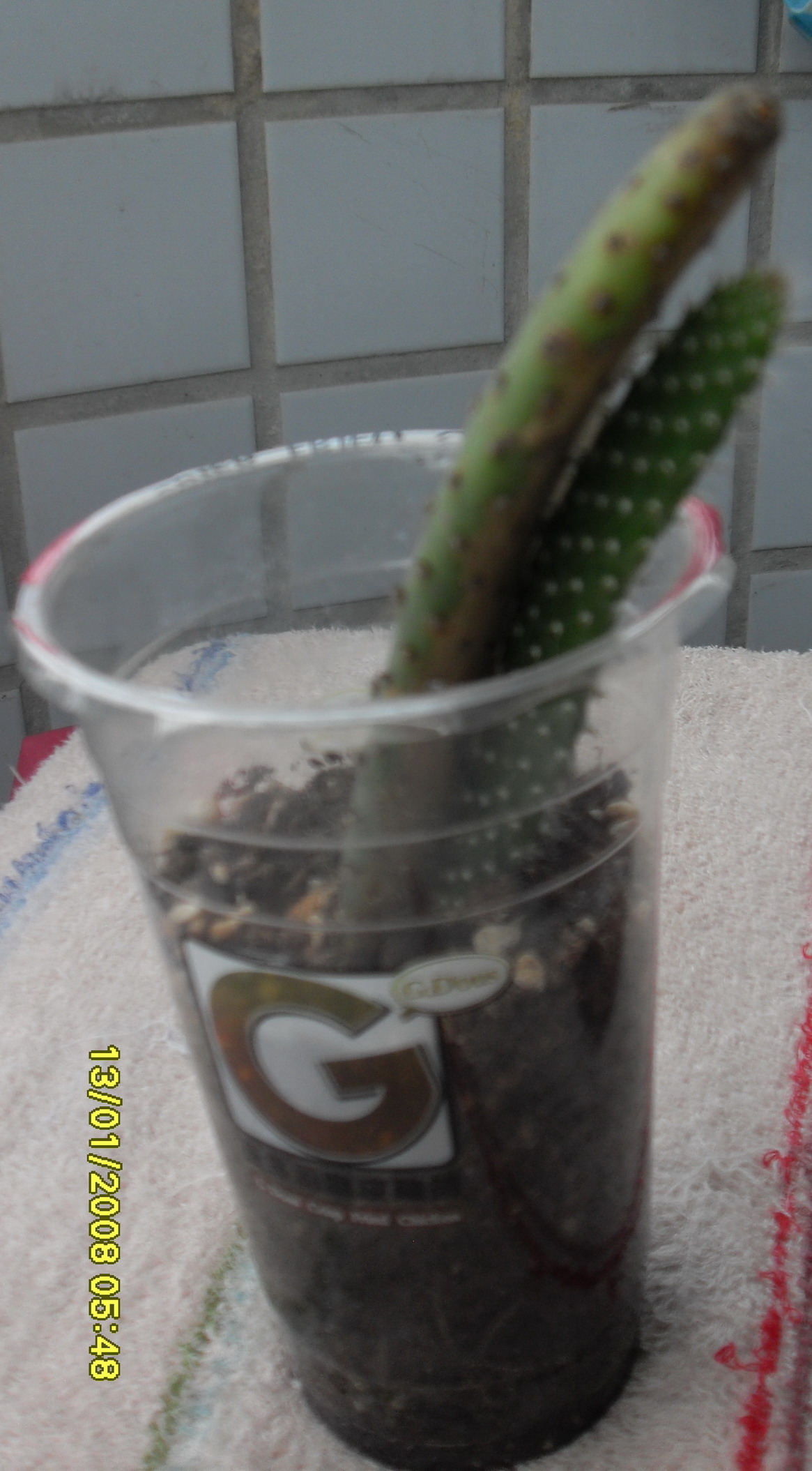 按此在新視窗瀏覽圖片