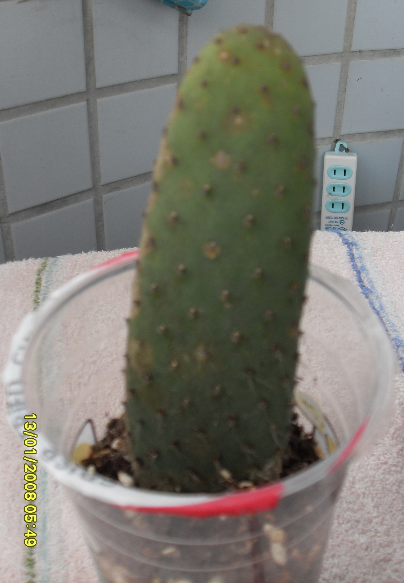 按此在新視窗瀏覽圖片