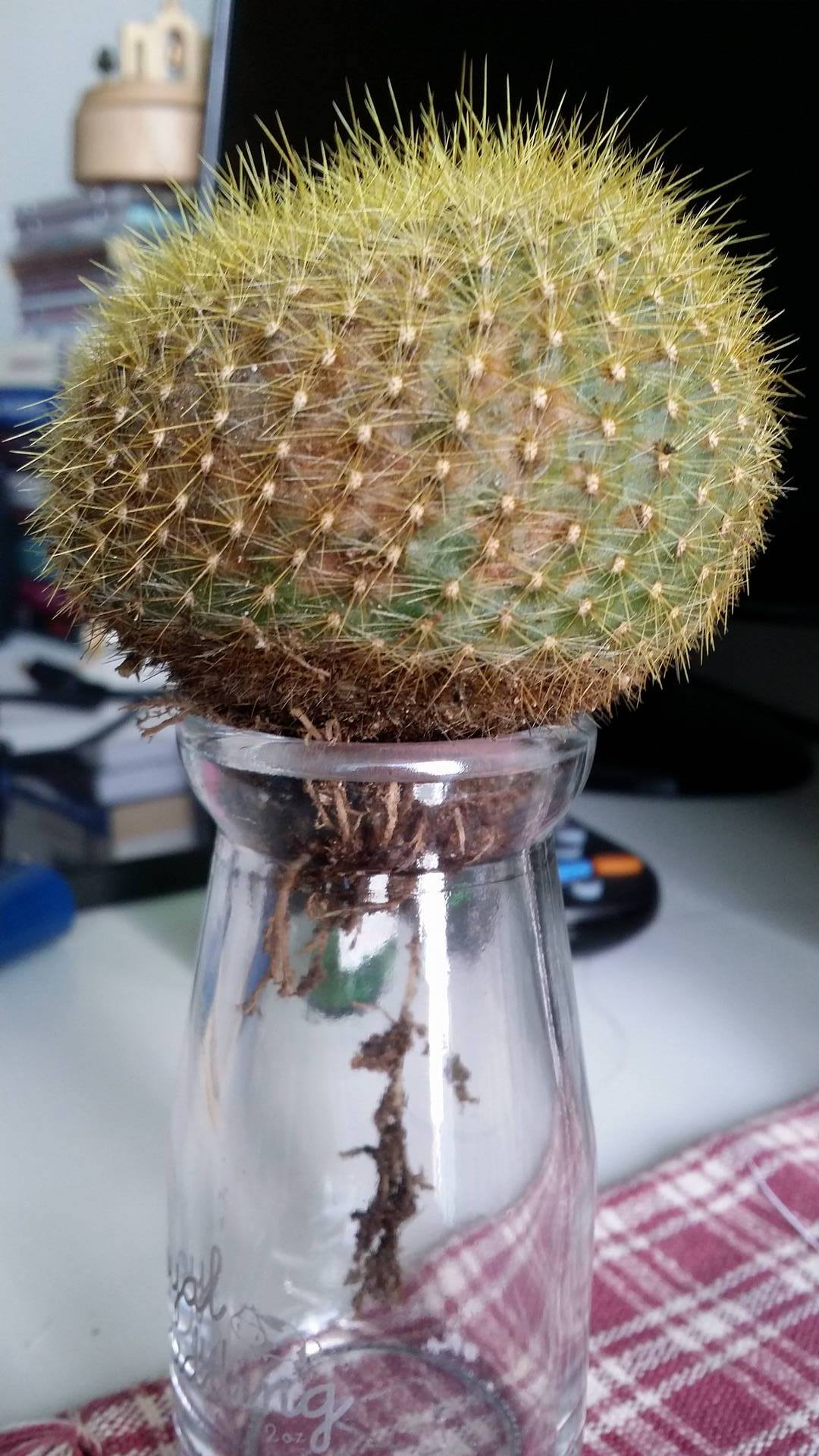 按此在新視窗瀏覽圖片