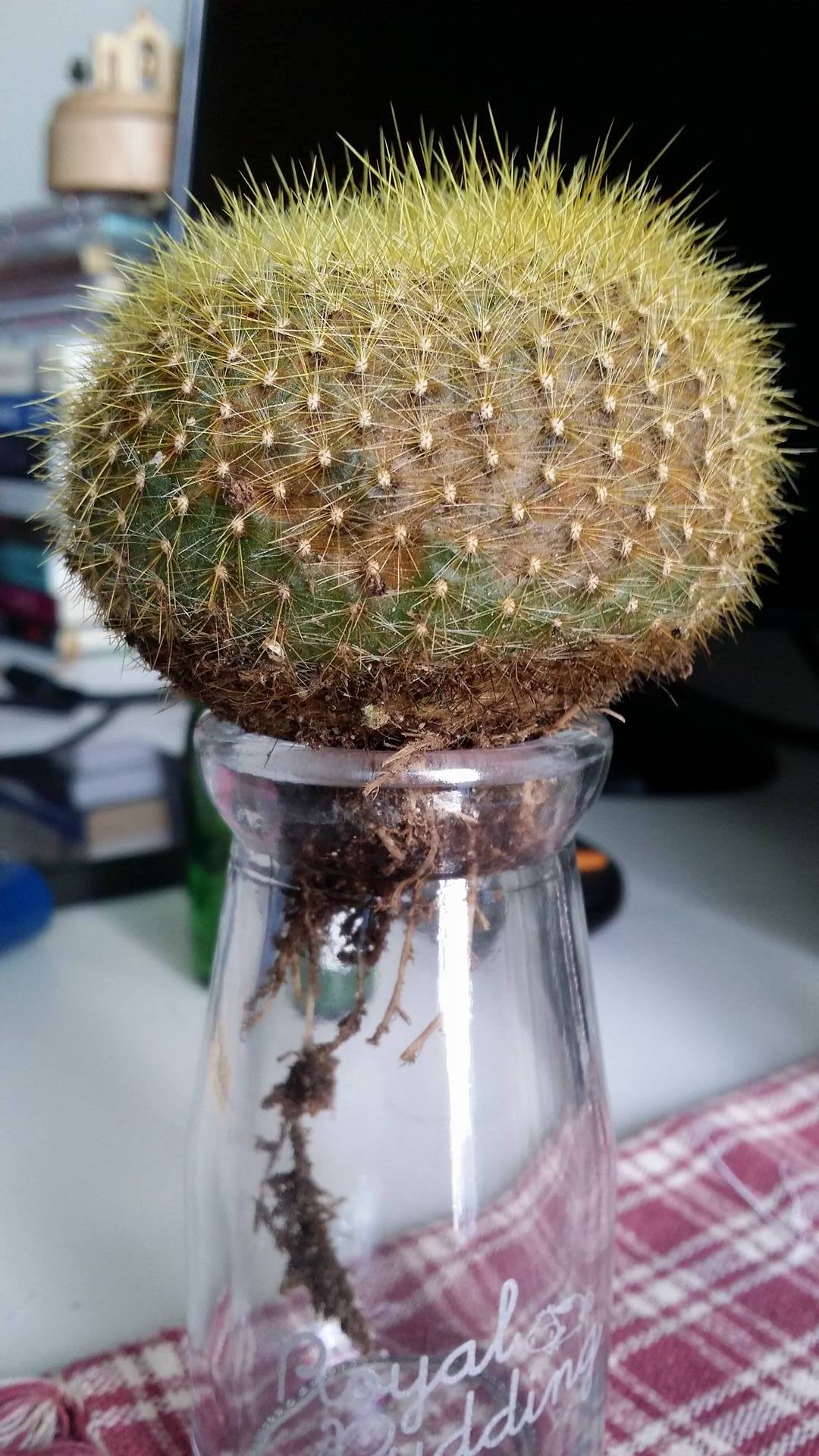 按此在新視窗瀏覽圖片