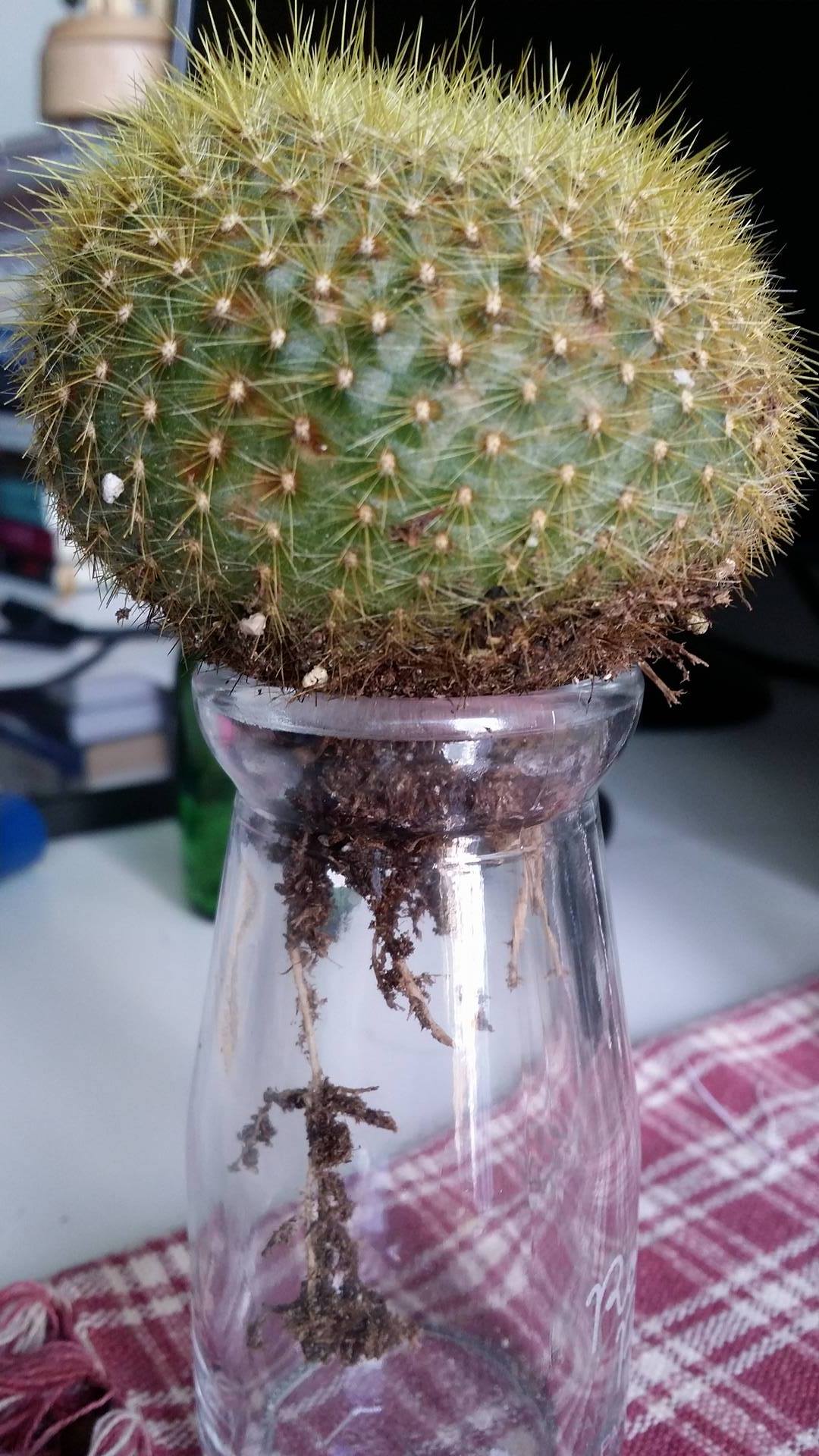 «ö¦¹¦b·sµøµ¡ÂsÄý¹Ï¤ù