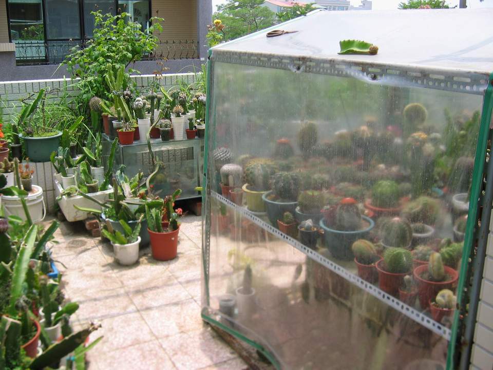 «ö¦¹¦b·sµøµ¡ÂsÄý¹Ï¤ù