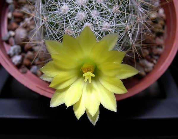 «ö¦¹¦b·sµøµ¡ÂsÄý¹Ï¤ù