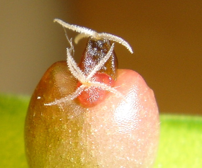 «ö¦¹¦b·sµøµ¡ÂsÄý¹Ï¤ù