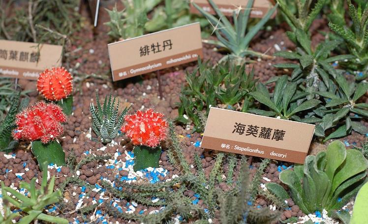 按此在新視窗瀏覽圖片