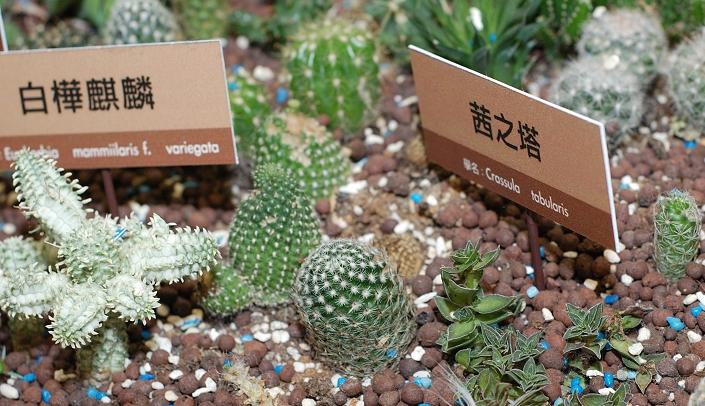按此在新視窗瀏覽圖片