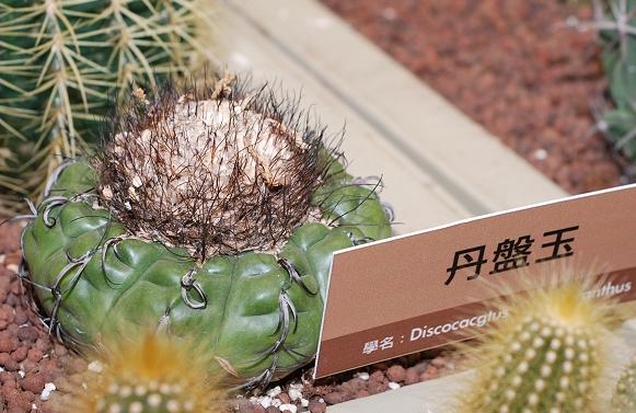 按此在新視窗瀏覽圖片