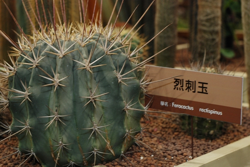 按此在新視窗瀏覽圖片