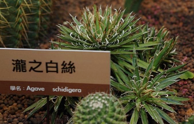 按此在新視窗瀏覽圖片
