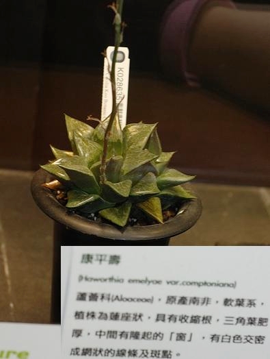 按此在新視窗瀏覽圖片