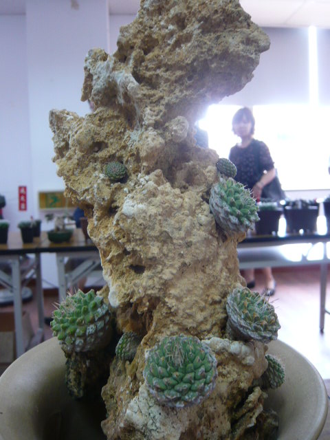 按此在新視窗瀏覽圖片