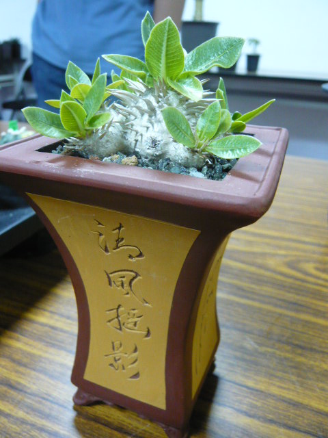 按此在新視窗瀏覽圖片