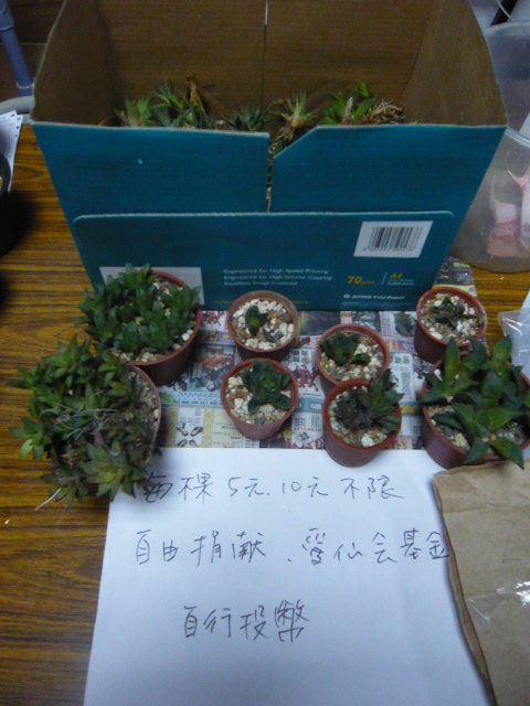 按此在新視窗瀏覽圖片
