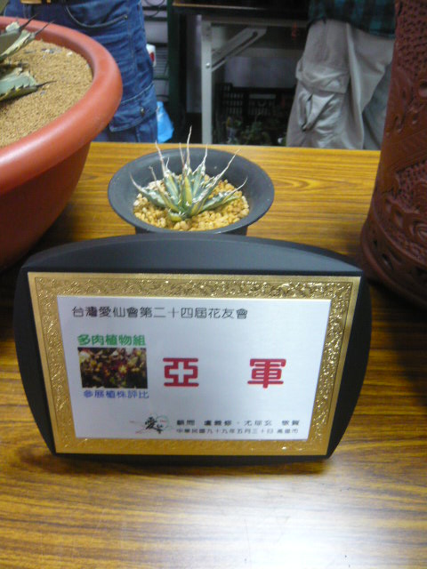 按此在新視窗瀏覽圖片