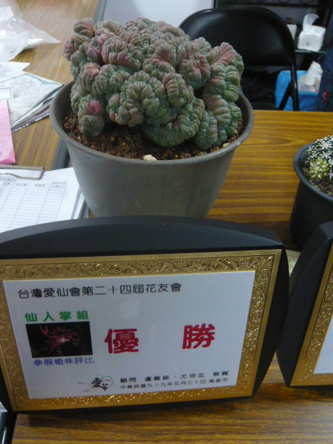 按此在新視窗瀏覽圖片